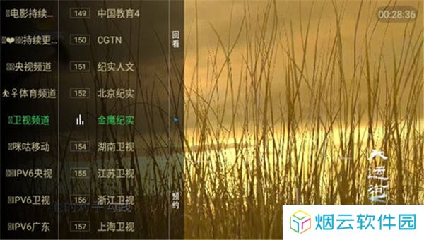 糖意电视TV