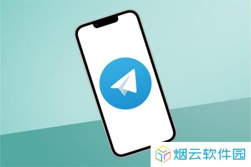 telegeramX版本
