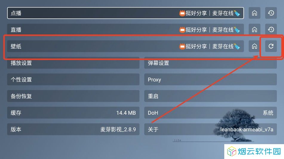 麦芽影视