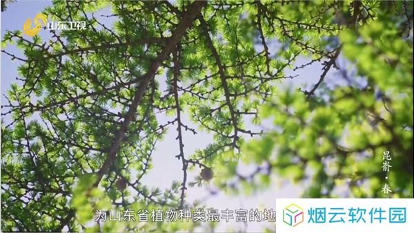 爱尚电视