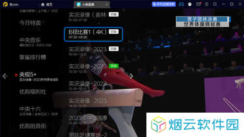 小薇直播电视版回放