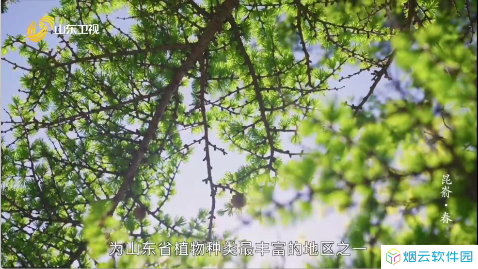 爱尚电视