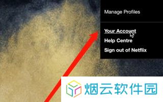 netflix奈飞中文电影站