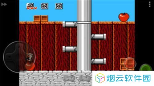 松鼠大战