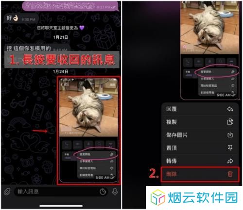 纸飞机社交软件中文版