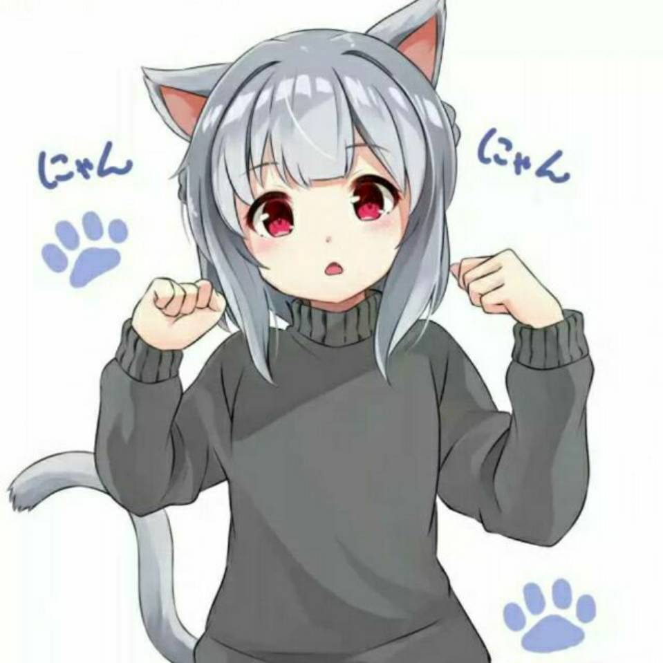 冷狐宝盒破解版无限积分安卓