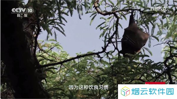 时光未央