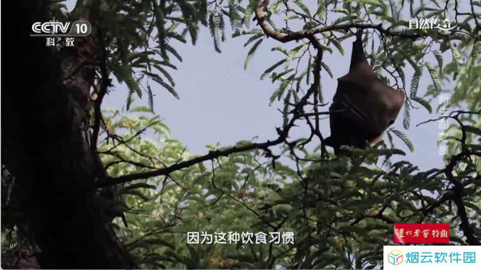 时光未央