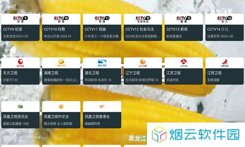 MyTv电视版