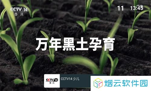 MyTv电视版