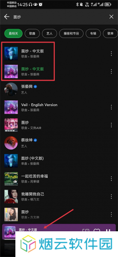 声破天spotify