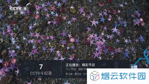 鸳鸯戏水TV版下载