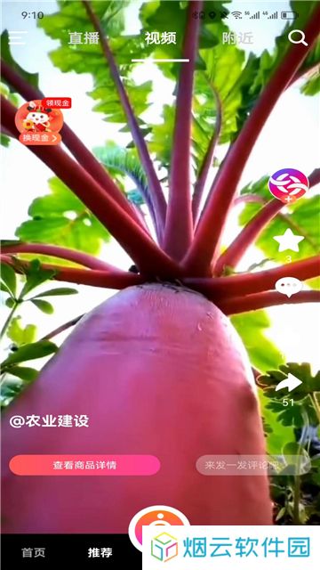 米蕉点视