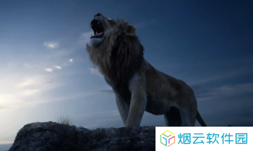 小园丁追剧
