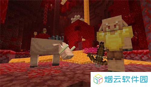 我的世界1.16