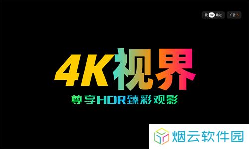 4K视界