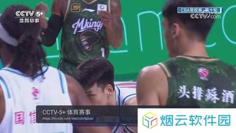 WebView电视TV版