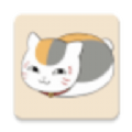 k次元