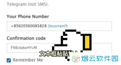 纸飞机官方