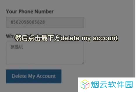 纸飞机官方