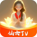 三叶草M码与欧洲码的区别：探索虚拟世界的尺码奥秘
