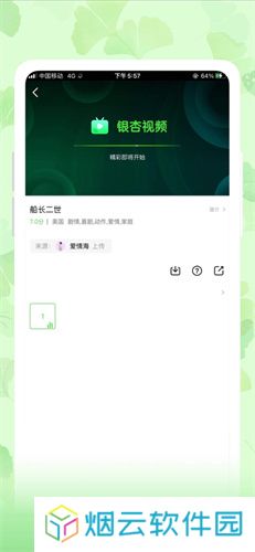 老款银杏视频