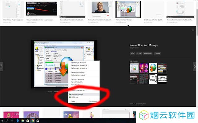 Internet Download Manager下载