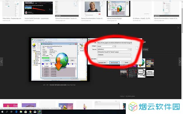 Internet Download Manager下载