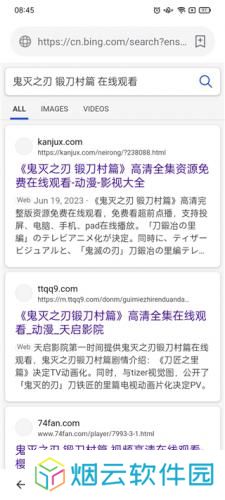 茶杯狐