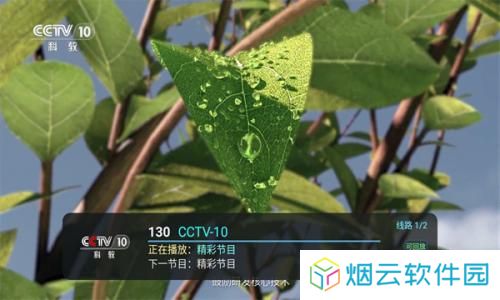 新环球TV电视