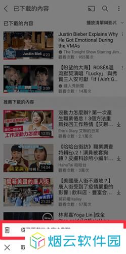 油管